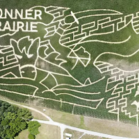 Conner Prairie Corn Maze